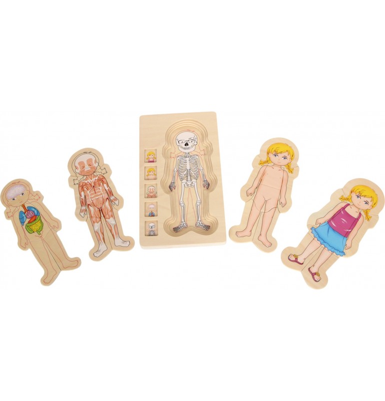 Human body puzzle 5 levels